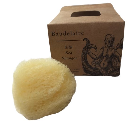 Baudelaire Silk Sea Sponge, New, Small - Picture 4 of 9